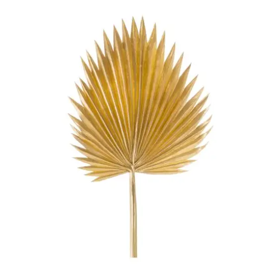 37" Plastic Fan Palm Leaf Set, 6ct. {1}