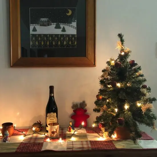 20ct. Clear Mini Christmas String Lights with Green Wire {5}