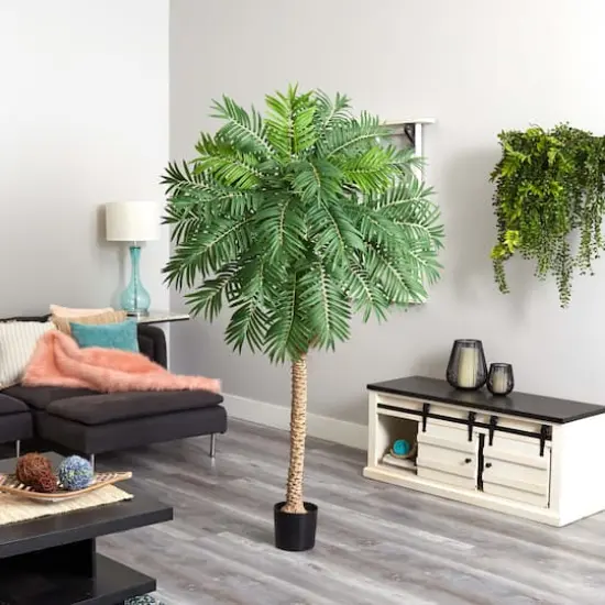 6.6ft. Potted Robellini Palm Tree {4}
