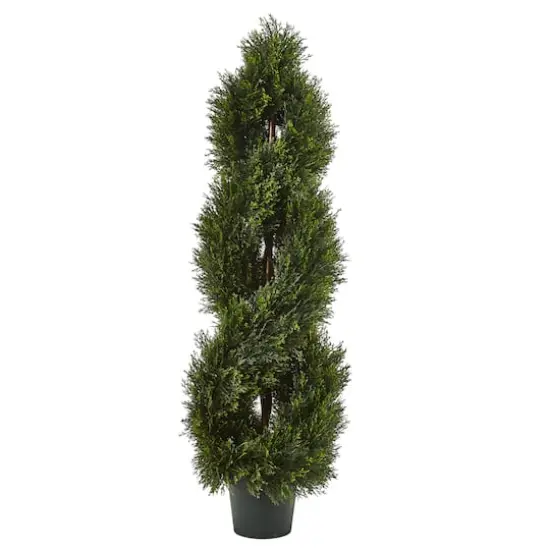 4ft. Potted Double Pond Cypress Spiral Topiary Tree {1}