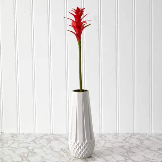 Star Bromeliad Stem, 6ct. Multi {3}