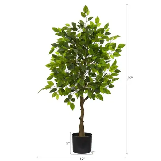 3.25ft. Potted Ficus Tree {3}