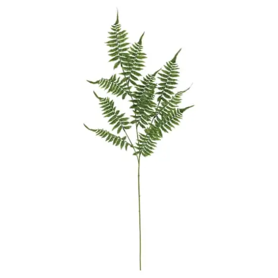 41" Fern Stem by Ashland&reg; {1}