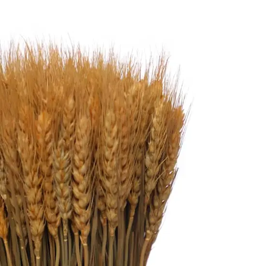 11.75" Natural Wheat Bundle Tabletop D&eacute;cor by Ashland&reg; {3}