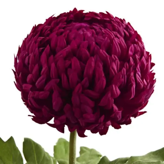 Mum Artificial Flower Stem, 2ct. {4}