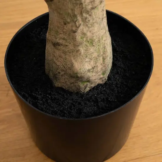 8ft. Potted Maple Tree {5}