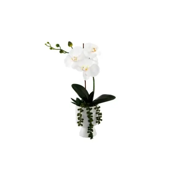 Flora Bunda&reg; 16" Real- Touch Orchid In Ceramic Pot {1}