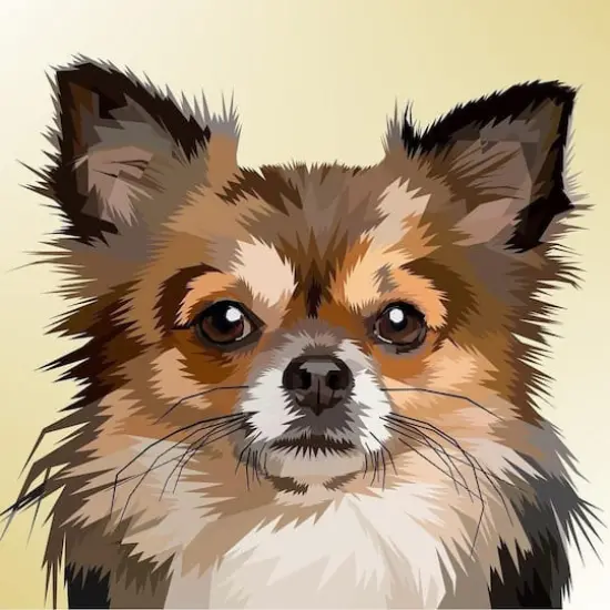 Wizardi Diamond Painting Kit Dog Portrait  {3}
