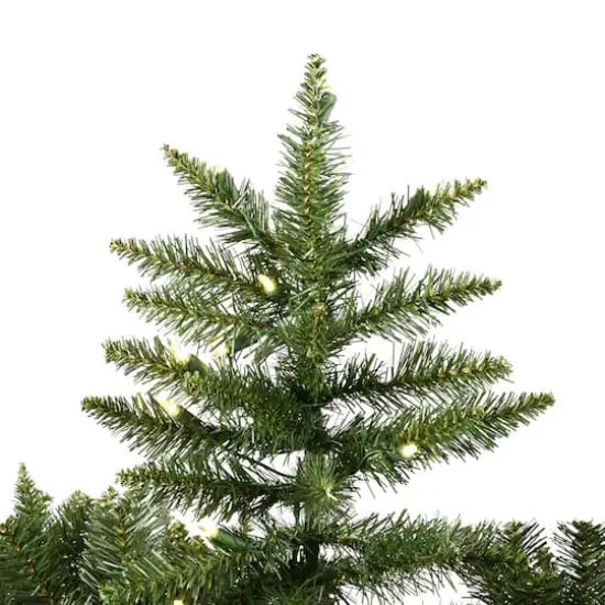 6.5ft. Pre-Lit Slim Camdon Fir Artificial Christmas Tree, Warm White Dura-Lit&reg; LED Lights {4}