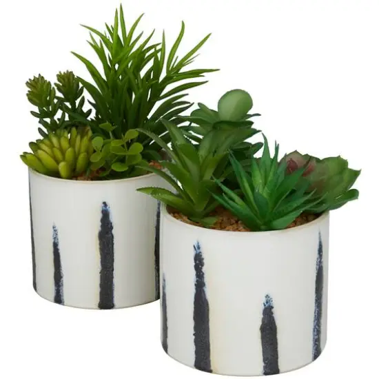 Green Faux Foliage Succulent in Patterned Porcelain Pot Set {3}