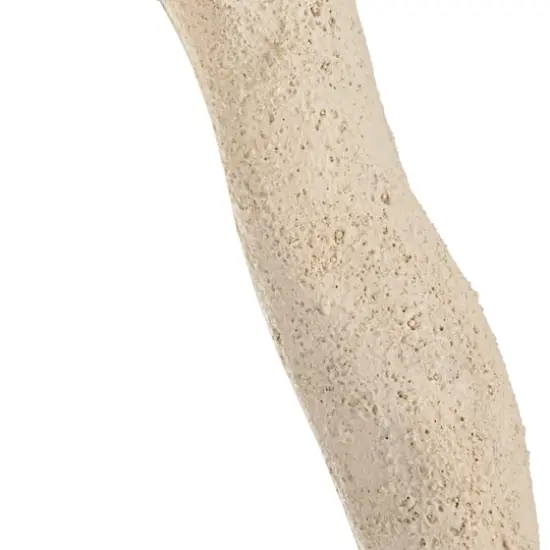 Hello Honey&reg; Cream Framed Organic Shaped Wall Mirror {9}