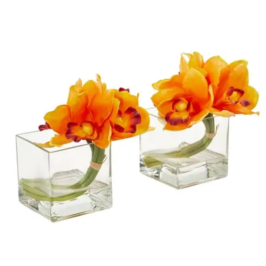 8" Boat Orchid Arrangement in Glass Vase, 2ct. Orange {1}