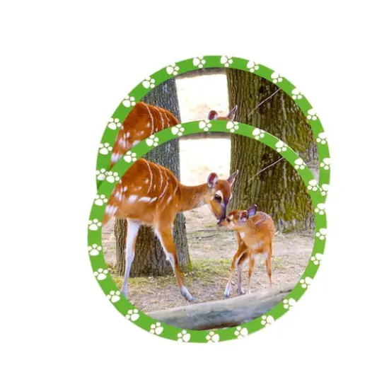 MOJO Seek & Peek Mommy & Me Memory Match {4}