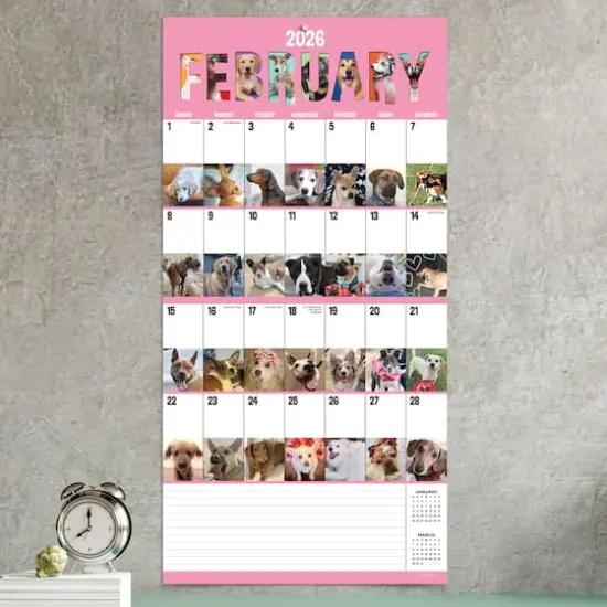 2026 Dog-A-Day Wall Calendar {4}