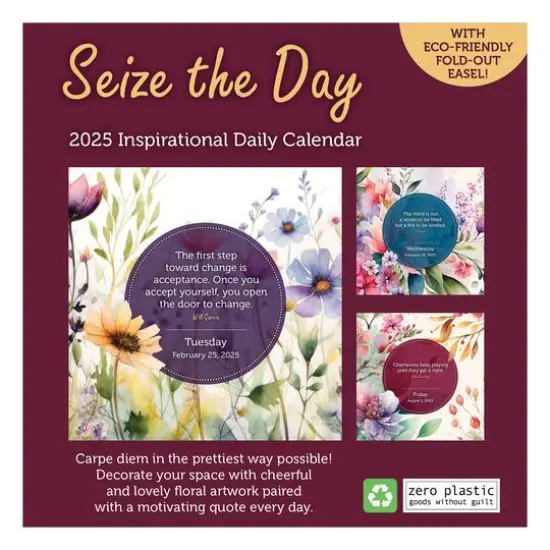 TF Publishing 2025 Seize the Day Daily Desktop Calendar {3}