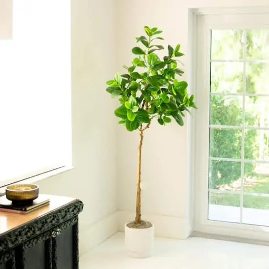 6ft. Artificial Audrey Ficus Tree {3}