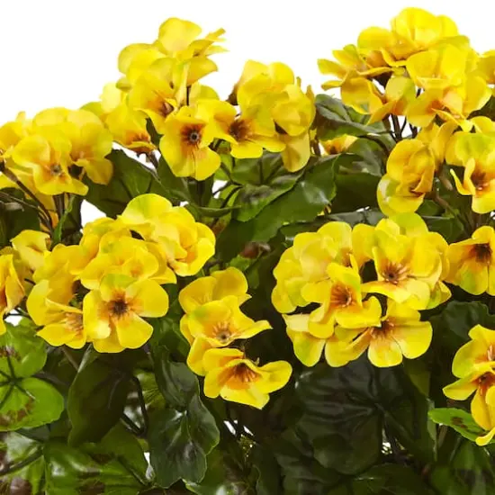 13" Yellow Geranium in Rectangular Planter {3}