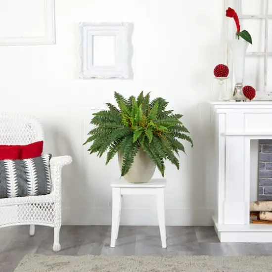 22" Boston Fern In Sandstone Planter {3}