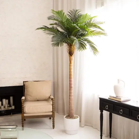 8ft. Potted Coconut Palm Tree {3}