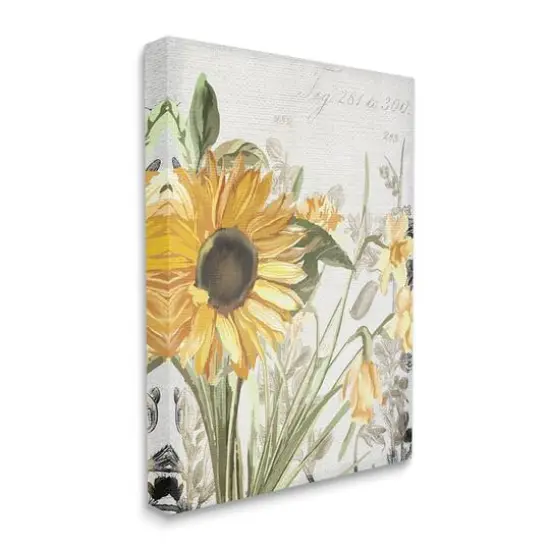 Stupell Industries Soft Sunflower Floral Canvas Wall Art {1}