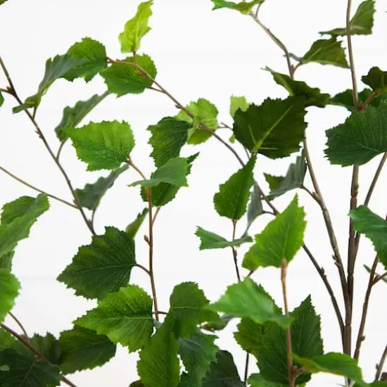 4ft. Potted Green Artificial Birch Tree with Real Touch Leaves {4}