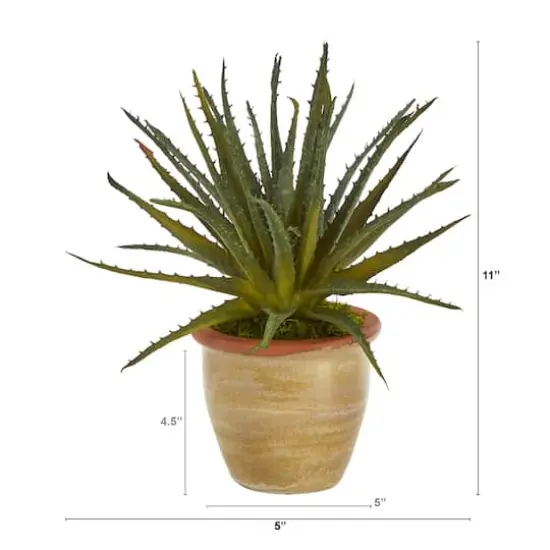 11" Aloe Plant in Ceramic Planter {3}