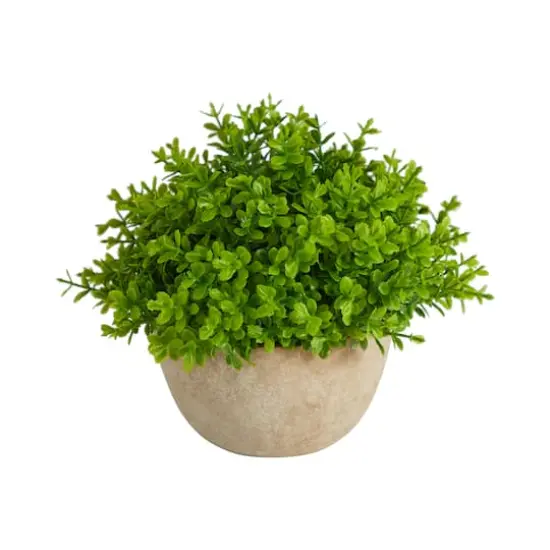 5'' Boxwood Artificial Plant in Decorative Planter {1}