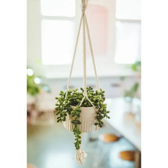 Flora Bunda&reg; 5.5" String Of Pearls Macram&eacute; Hanging Ceramic Donkey Tails  {4}