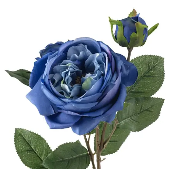 Blue English Rose Stem by Ashland&reg; {4}