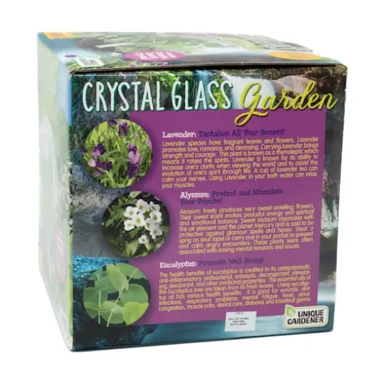 Glass Terrarium - Crystal Glass Garden {6}
