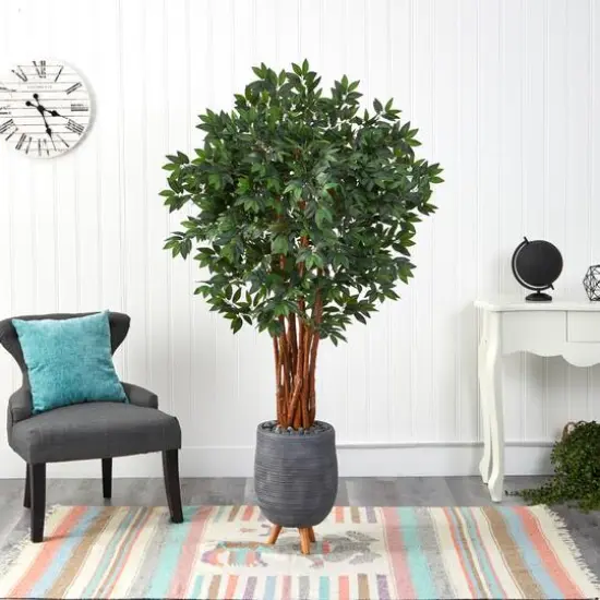 6ft. Lychee Tree in Gray Planter with Stand {4}