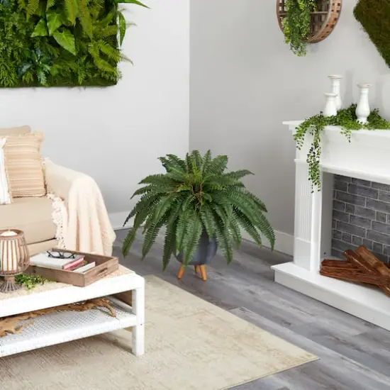 2.5ft. Boston Fern in Gray Planter with Legs {5}