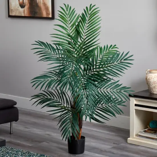 4ft. Potted Areca Palm Tree {3}