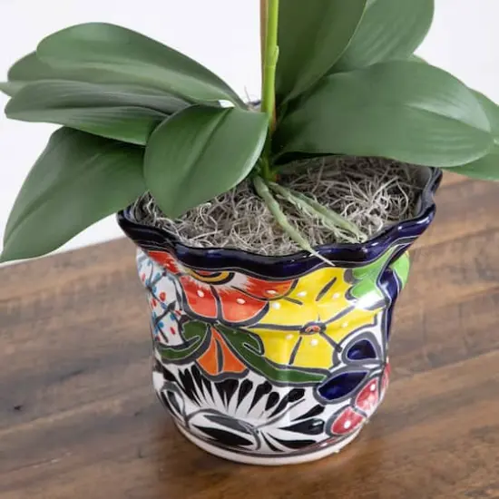2ft. Artificial Double Orchid Arrangement in Handmade Mexican Talavera Ceramic Planter {6}