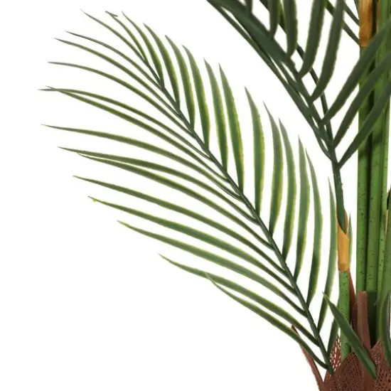 3.9ft. Potted Areca Palm Tree {5}