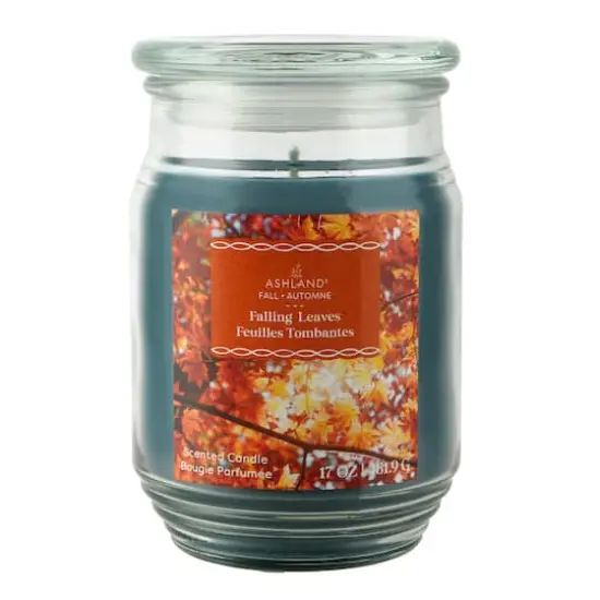 17oz. Fall Scented Jar Candle by Ashland&reg; Falling Leaves {1}