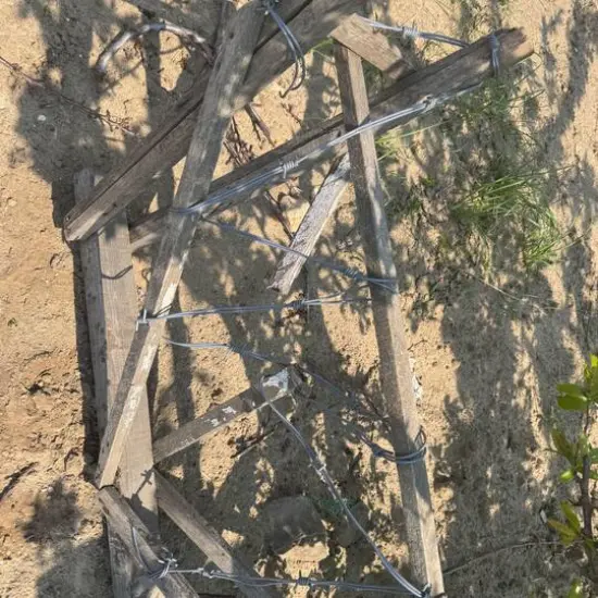 12ft. Black Plastic Barbed Wire by Ashland&reg; {4}