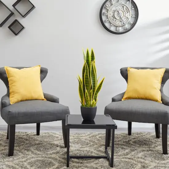 26in. Potted Sansevieria Plant {5}