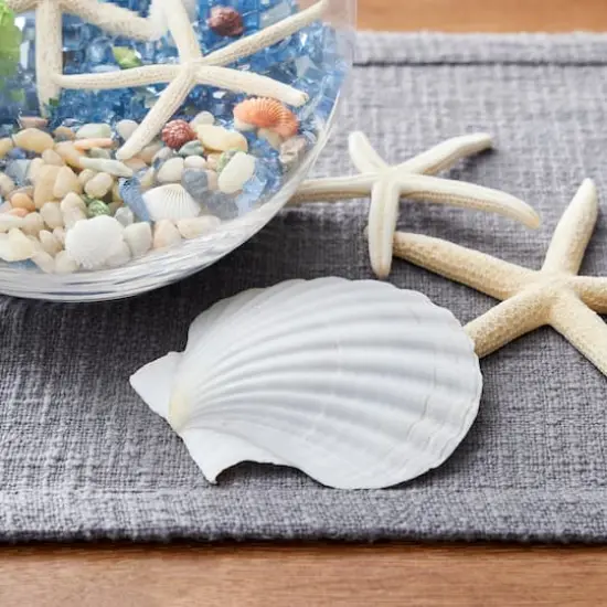 U.S. Shell Irish Deep Shell {3}