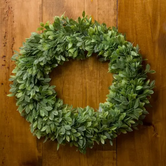 20" Plastic Foliage Wreath by Ashland&reg; {3}