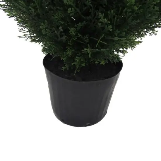 6ft. Potted Cedar Tree {6}