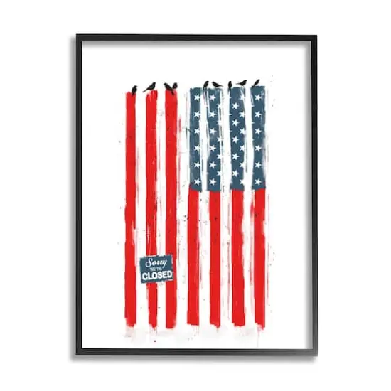 Stupell Industries American Flag Birds on Wall Political Statement Framed Giclee Art Black {1}