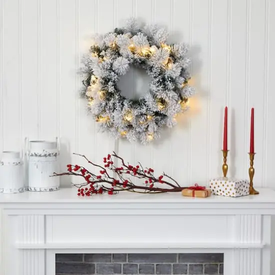 24" LED Flocked Christmas Wreath {4}