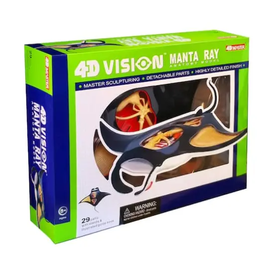 4D Vision&trade; Manta Ray Anatomy Model {1}