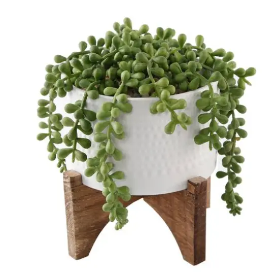 Flora Bunda&reg; 5" String Of Pearl In Hobnail Ceramic Planter On Stand {1}