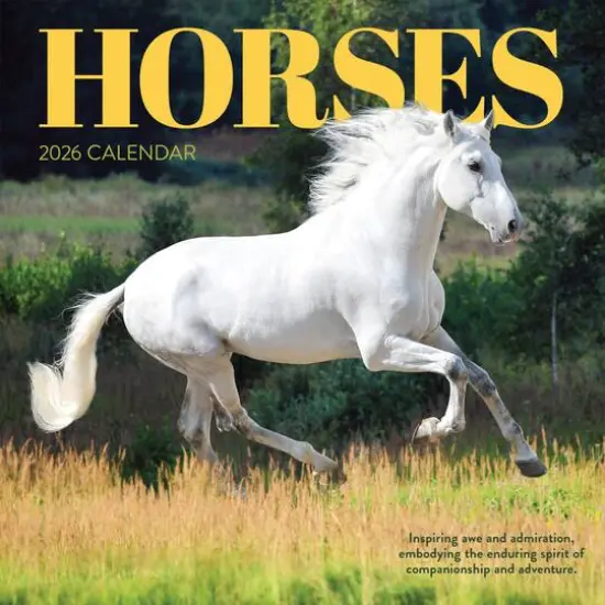 2026 Horses Wall Calendar {1}