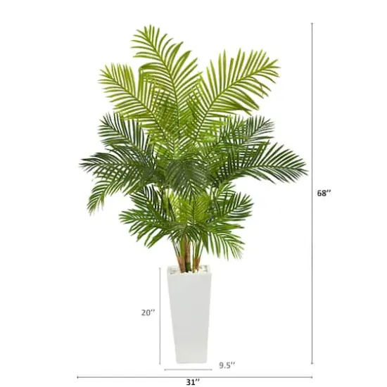 5.5ft. Hawaii Palm Tree in Tall White Planter {3}