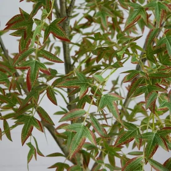 7ft. Autumn Nandina Artificial Fall Tree {5}