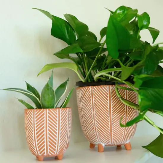Flora Bunda 6" & 4" Orange Chevron Ceramic Footed Pot Set {4}