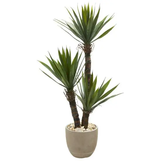 4.5ft. Yucca Tree in Sandstone Planter {1}